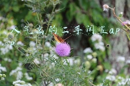 人气高的二手闲置app