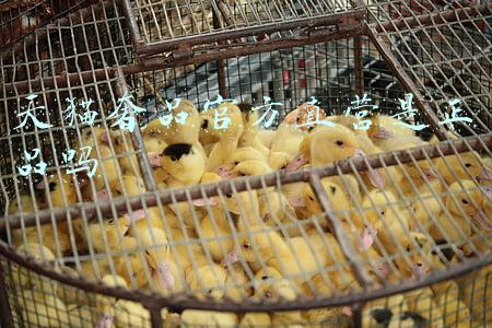 天猫奢品官方直营是正品吗