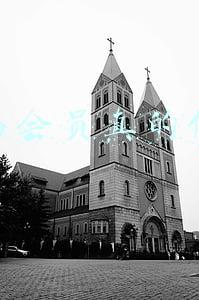 斑马会员真的假的