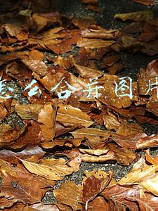 怎么合并图片