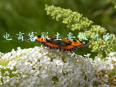 淘宝电商客服主要做什么(淘宝客服的日常是什么样的？详细日常，希望给做销售的你一点帮助)