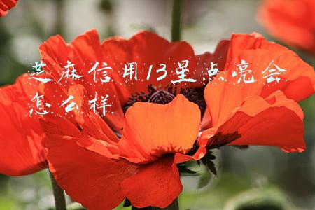 芝麻信用13星点亮会怎么样