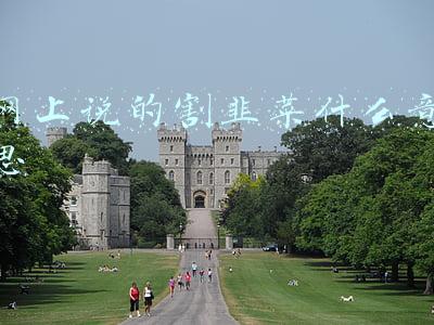 网上说的割韭菜什么意思