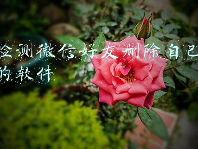检测微信好友删除自己的软件