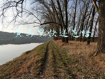 黄马甲快递是啥