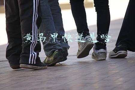 黄马甲快递是啥