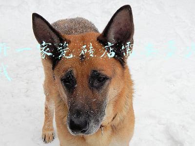 开个瓷砖店要多少本钱;如果要开个瓷砖店, 预计差不多要多少本钱呢。 先不算店面的租金。 懂行的朋友帮我解答下。 急。