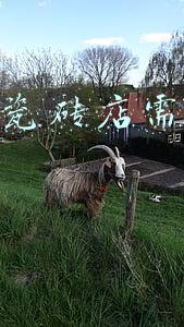 瓷砖开店需要投资多少钱合适-刚开始做瓷砖生意投资多少比较合适