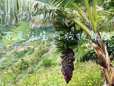 百度淘宝网购物商城