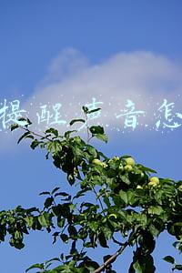 微信提醒声音怎么改