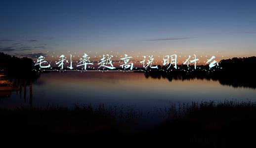毛利率越高说明什么