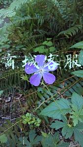 京东商城客服热线