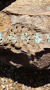 苏宁易购电话客服多少(苏宁银行真抓实干 确保疫情防控民生保障两不误)