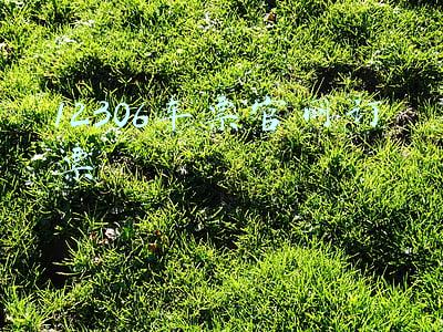 12306车票官网订票