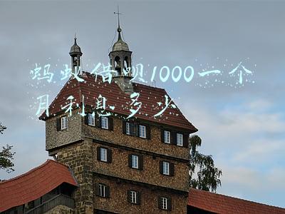 蚂蚁借呗1000一个月利息多少