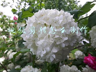 视频剪辑怎么制作