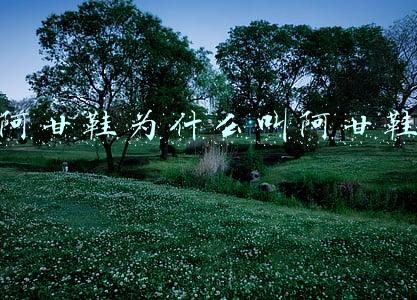阿甘鞋为什么叫阿甘鞋