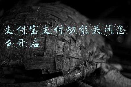 支付宝开启支付功能(微信可直接打开淘宝页面并用支付宝完成支付)