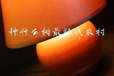 种什么树最赚钱农村卖木头(农民把它当燃料，朋友却靠它一年赚20多万，原来碎木的价值真不小)