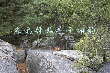 菜鸟驿站是干嘛的
