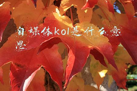 自媒体kol是什么意思
