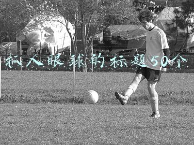 抓人眼球的标题50个