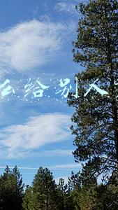 q币怎么给别人充点券