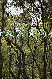 质量好又不贵的化妆品