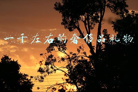 一千左右的奢侈品礼物