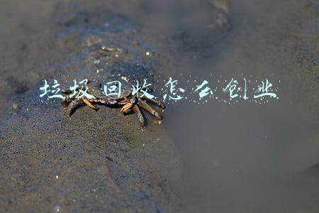 垃圾回收怎么创业