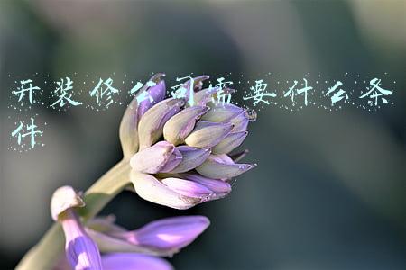 开装修公司需要什么条件