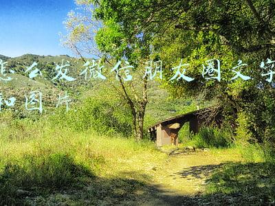 怎么发微信朋友圈文字和图片
