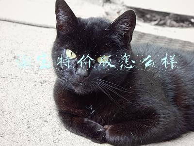 淘宝特价版怎么样