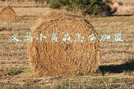 义乌小商品怎么加盟
