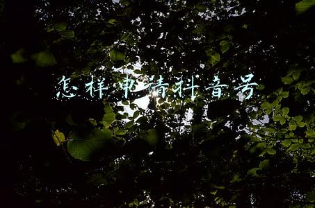 如何申请一个新的抖音号(抖音账号建设流程)