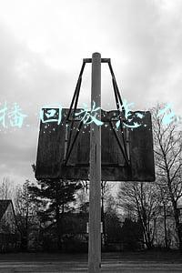 直播回放怎么看