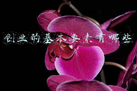 创业的基本要素有哪些