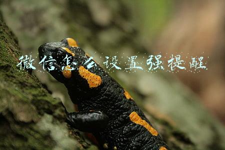 微信怎么设置强提醒