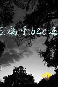 淘宝属于b2c还是c2c