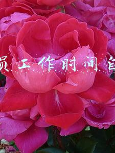 快递员工作时间自由吗
