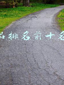 化妆品排名前十名品牌