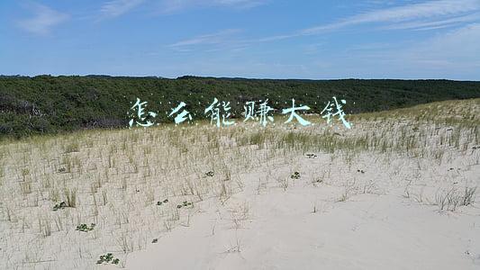 怎么能赚大钱