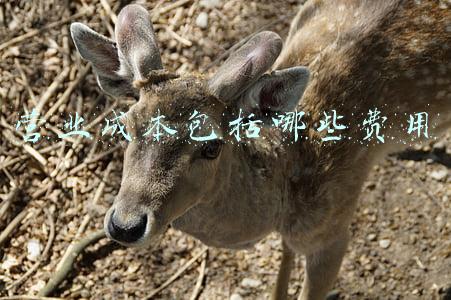 营业成本包括哪些费用