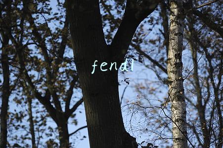fendl