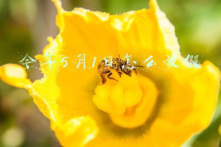 今年5月1日怎么放假