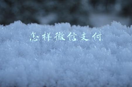 怎样微信支付