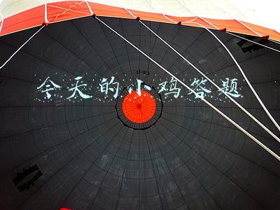 今天的小鸡答题