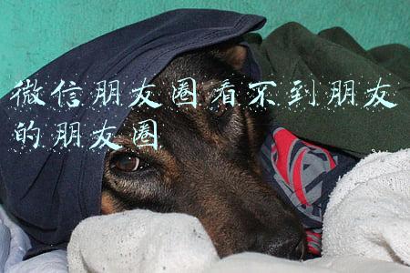 微信朋友圈看不到朋友的朋友圈
