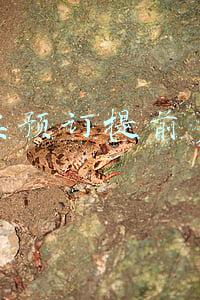 火车票预订提前多少天