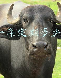 5万一年定期多少利息